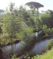 Río Tamuxe a su paso por el valle de O Rosal