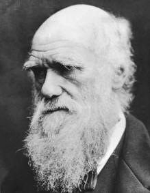 darwin.jpg (8256 bytes)