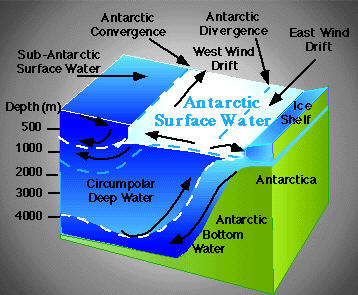 Identificación de las corrientes antárticas profundas