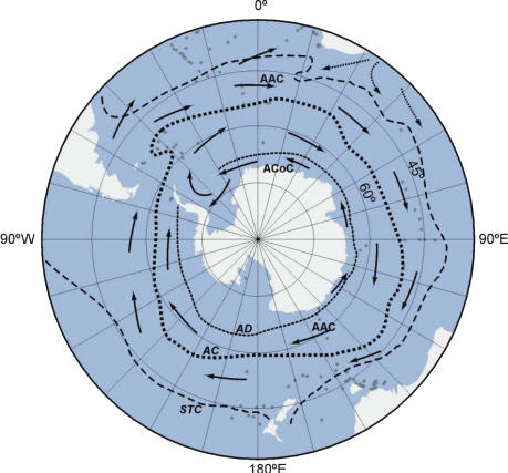 ocean_lineas.jpg (14139 bytes)
