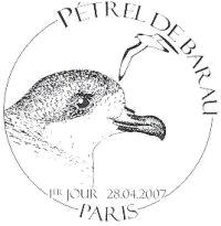Petrel