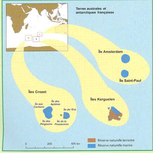 TARA OCEANS: LAS FRONTERAS DE LO DESCONOCIDO