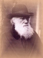 darwin.jpg (8256 bytes)