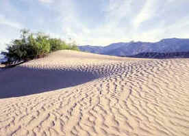 desertizacion.jpg (30299 bytes)