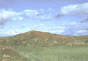 tundra.jpg (12189 bytes)