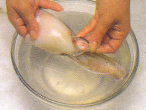 Limpieza de cefalópodos