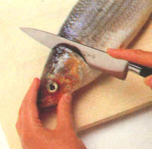 Limpieza de pescados