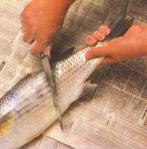 Limpieza de pescados