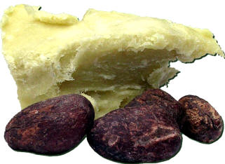 Grasa de Shea, obtenida de los frutos secos del árbol africano llamado Karité