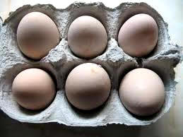 Huevos de pintada