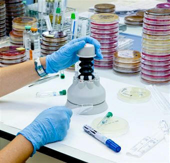 El estudio y producción de los antibióticos supuso un paso de gigante en la biotecnología