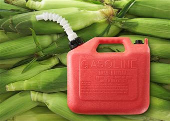 De productos vegetales, como el maíz, se pueden obtener combustibles totalmente renovables