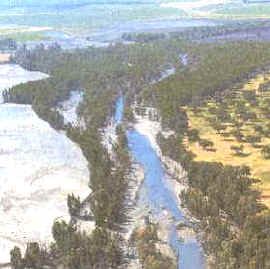 Los ríos Agrio y Guadiamar distribuyeron la letal carga a lo largo de 70 Km