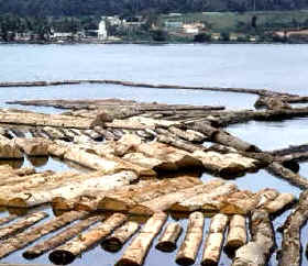 La explotación forestal constituye la base fundamental de las exportaciones, en las que destaca la producción de madera de caoba
