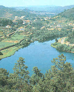 El Miño es el río gallego por excelencia, tanto por su longitud,  como por su aprovechamiento energético y curso navegable en gran parte