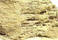 La erosión alveolar o diferencial, es el resultado de los golpes repetitivos que las partículas arenosas imprimen sobre la superficie de las rocas blandas