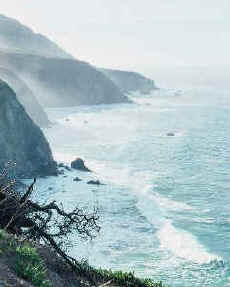 aguas_costeras.jpg (20988 bytes)