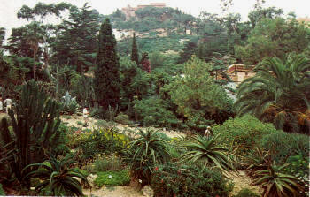Vista general del Jardín Botánico "Mar i Murtra" de Blanes