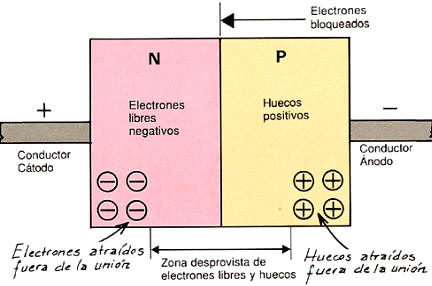 La sección de este diodo representa la conducción bloqueada. Una zona en la que no se encuentran ni electrones libres (negativos) ni "huecos" (positivos) impide el tránsito de la corriente.