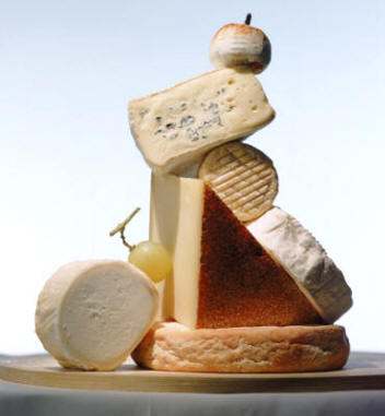 En procesos tan tradicionales como los de la elaboración del queso, el pan, el vino, la cerveza, etc., intervienen mecanismos de fermentación que muchos artesanos han repetido durante siglos