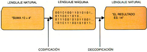 El lenguaje máquina utiliza las equivalencias entre el sistema decimal y el binario para transmitir información.