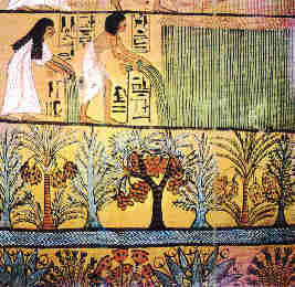 Ilustración egipcia donde se representa la recolección del lino