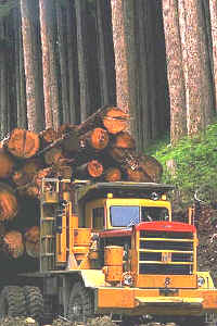 Transporte de maderas