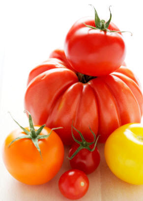 Algunas variedades de tomate (Lycopersicon lycopersicum, Lycopersicon esculentus o Solanum Lycopersicum)