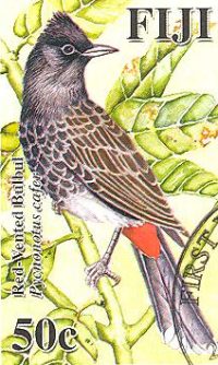 Filatelia: Pájaros del Pacífico: Ulurua pycnonotus cafer