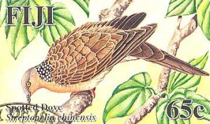 Filatelia: Pájaros del Pacífico: Fasoro streptopelia chinensis