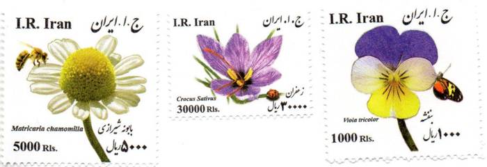 IRÁN: FLORA MEDICINAL