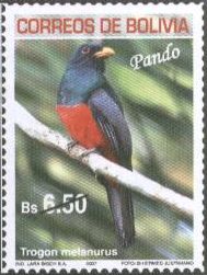 Filatelia: Aves de los Departamentos Bolivianos (2): Trogon melanurus