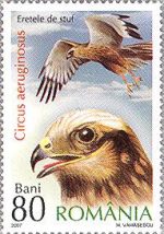 Filatelia: Aves rapaces en una emisión rumana