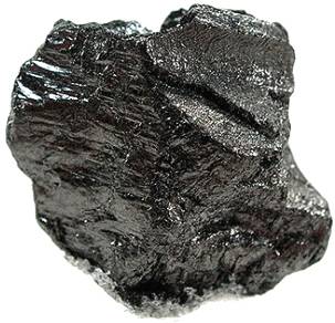Los combustibles fósiles, como el carbón, son producto de los procesos geológicos desarrollados sobre plantas y organismos a lo largo de millones de años