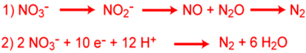 Ciclo del nitrógeno: Fórmula de la desnitrificación