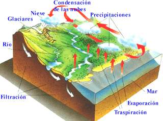 ciclo del agua en la hidrosfera