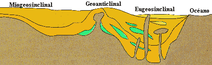 División de la cubeta de sedimentación durante el ciclo geosinclinal