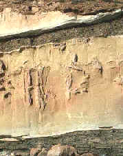 Roca sedimentaria, donde se aprecian los diferentes estratos sedimentarios