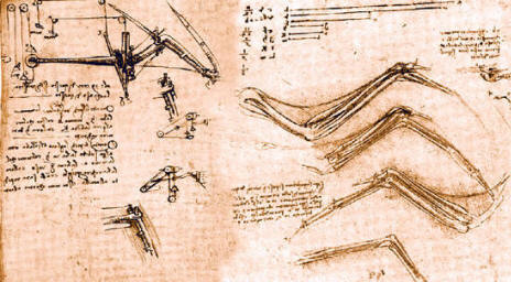 Leonardo estudio el vuelo de las aves con intención de aplicar los principios a una máquina voladora que las emulase